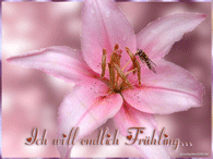 Will Frühling